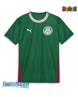 Palmeiras Tricou Fotbal Replică 2026-27 Barbati Acasa